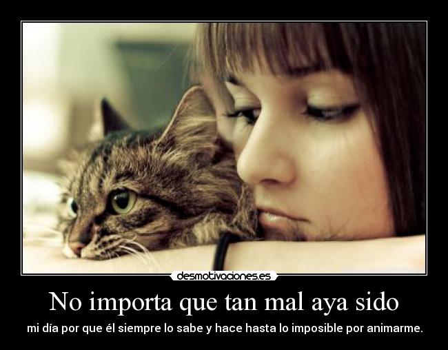 No importa que tan mal aya sido - mi día por que él siempre lo sabe y hace hasta lo imposible por animarme.