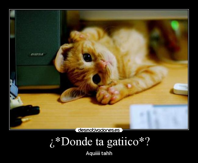 carteles funcat desmotivaciones