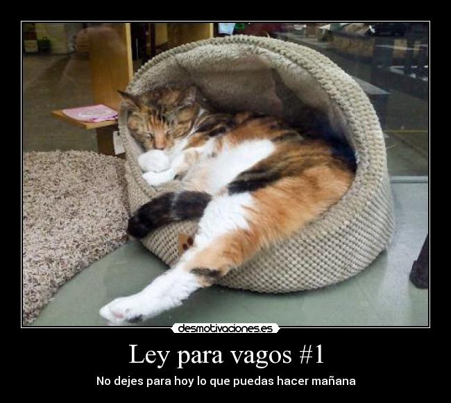 Ley para vagos #1 - No dejes para hoy lo que puedas hacer mañana