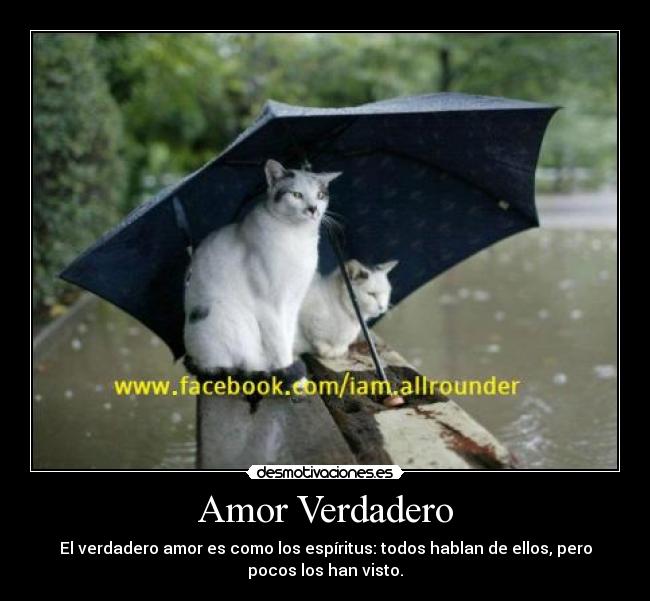 Amor Verdadero - El verdadero amor es como los espíritus: todos hablan de ellos, pero
pocos los han visto.