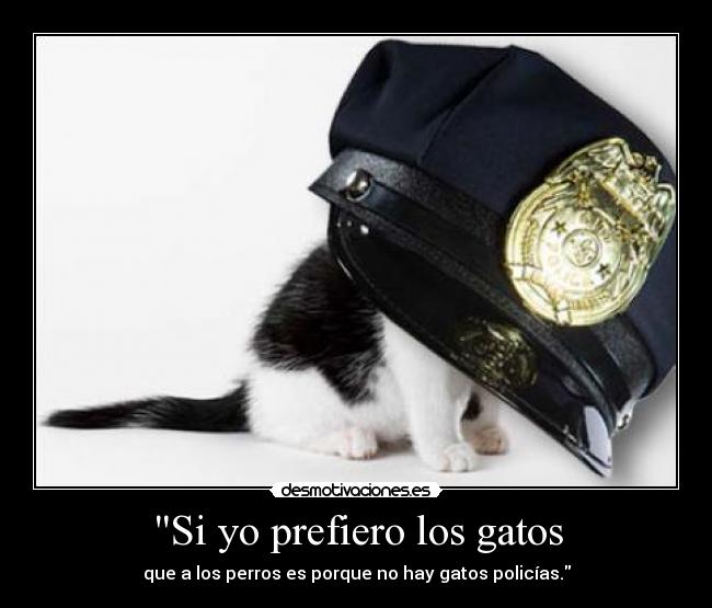 Si yo prefiero los gatos - que a los perros es porque no hay gatos policías.