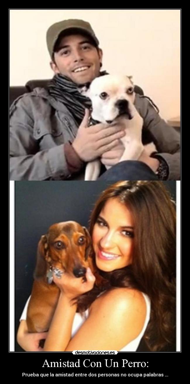 Amistad Con Un Perro: -