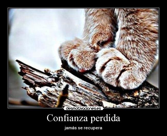 Confianza perdida - jamás se recupera