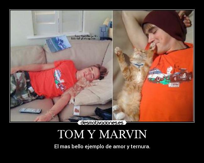 TOM Y MARVIN - El mas bello ejemplo de amor y ternura.
♥♥♥♥