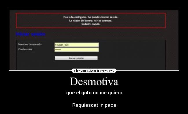 Desmotiva - que el gato no me quiera
Requiescat in pace