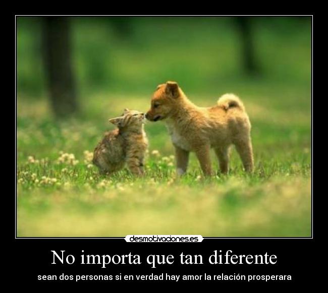 carteles civ desmotivaciones