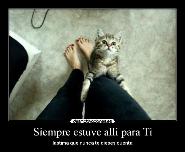 Siempre estuve alli para Ti - 