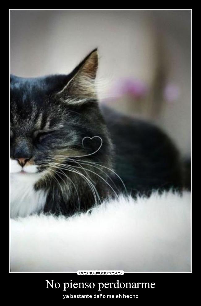 No pienso perdonarme -