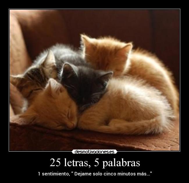 25 letras, 5 palabras - 
