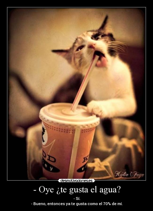 - Oye ¿te gusta el agua? - - Sí.
- Bueno, entonces ya te gusta como el 70% de mí.