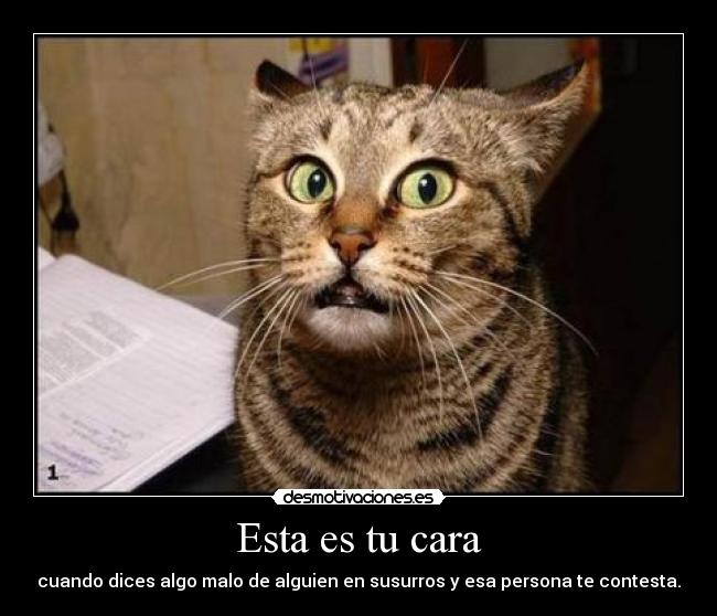 Esta es tu cara - cuando dices algo malo de alguien en susurros y esa persona te contesta.