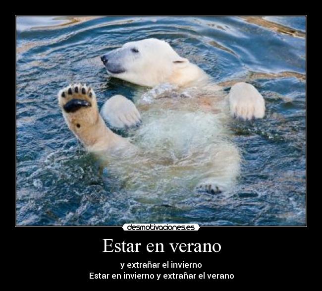 carteles verano oso polar verano invierno desmotivaciones