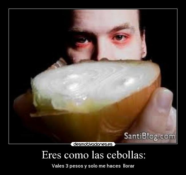 Eres como las cebollas: - Vales 3 pesos y solo me haces llorar