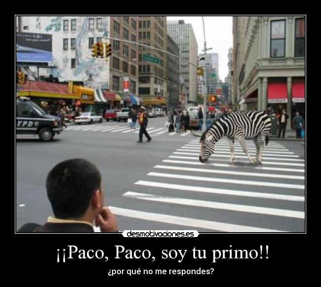 carteles forrest gump desmotivaciones