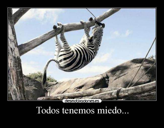 carteles miedo sigueme twitter cuenta lgns desmotivaciones