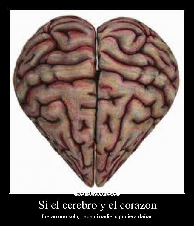 carteles corazon frako desmotivaciones