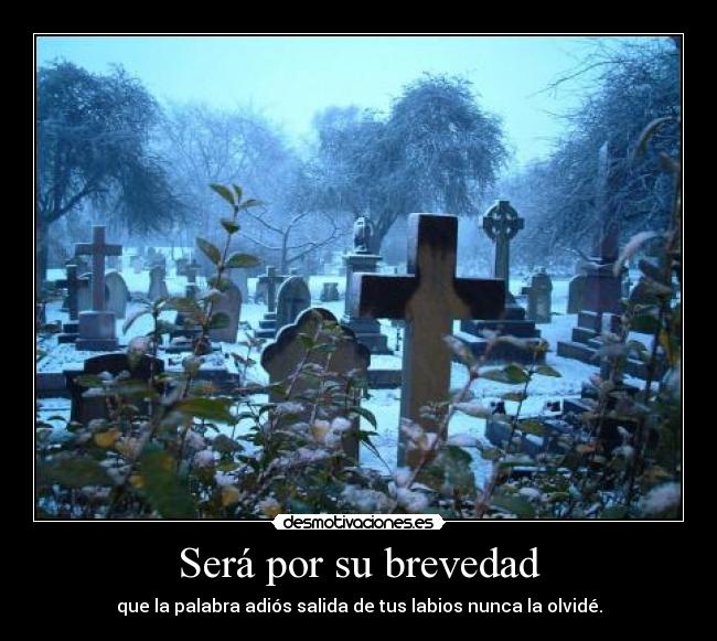 Será por su brevedad - que la palabra adiós salida de tus labios nunca la olvidé.