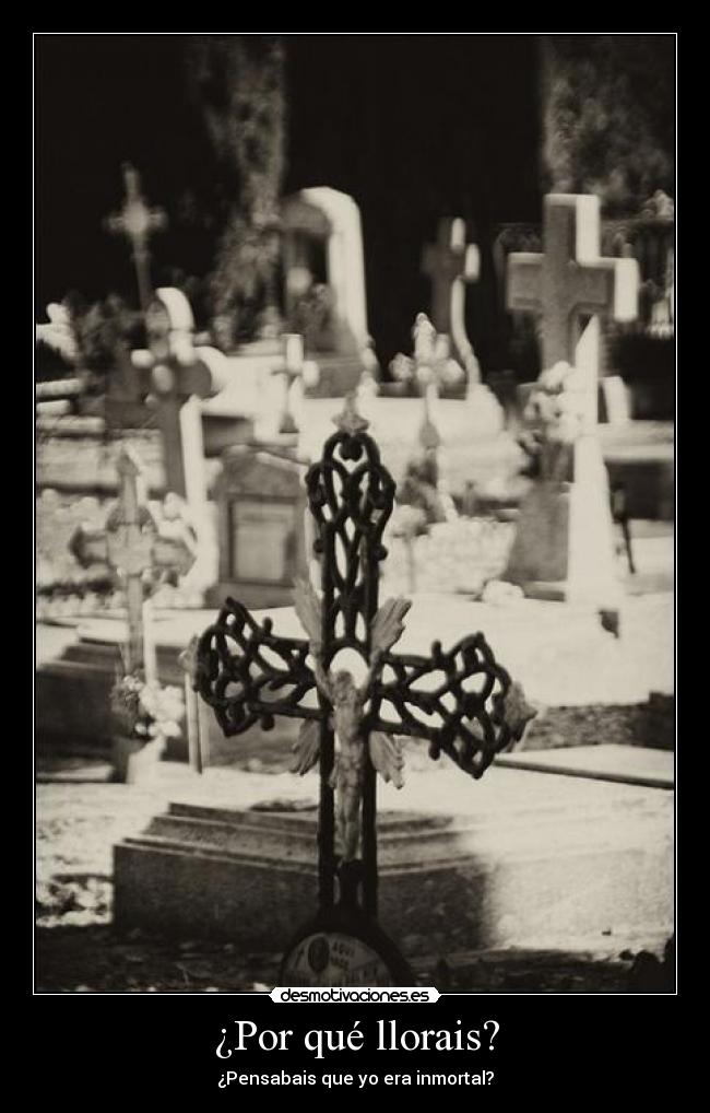 ¿Por qué llorais? - ¿Pensabais que yo era inmortal?