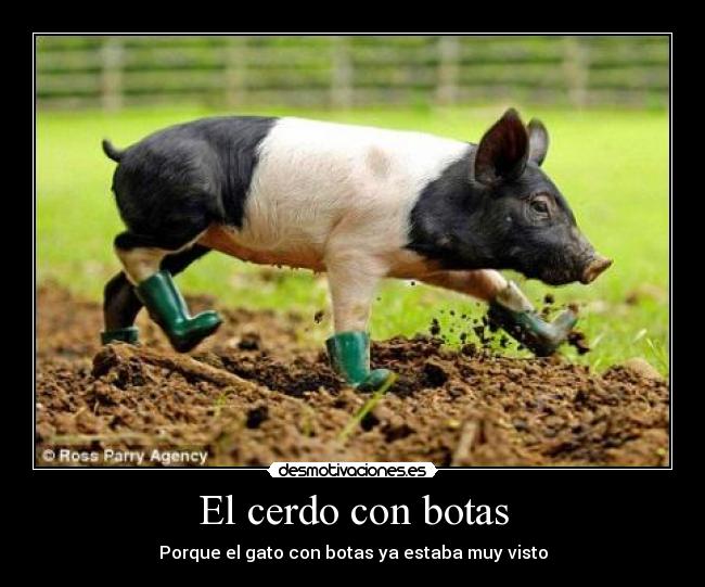 carteles cerdo con botas kroketking desmotivaciones