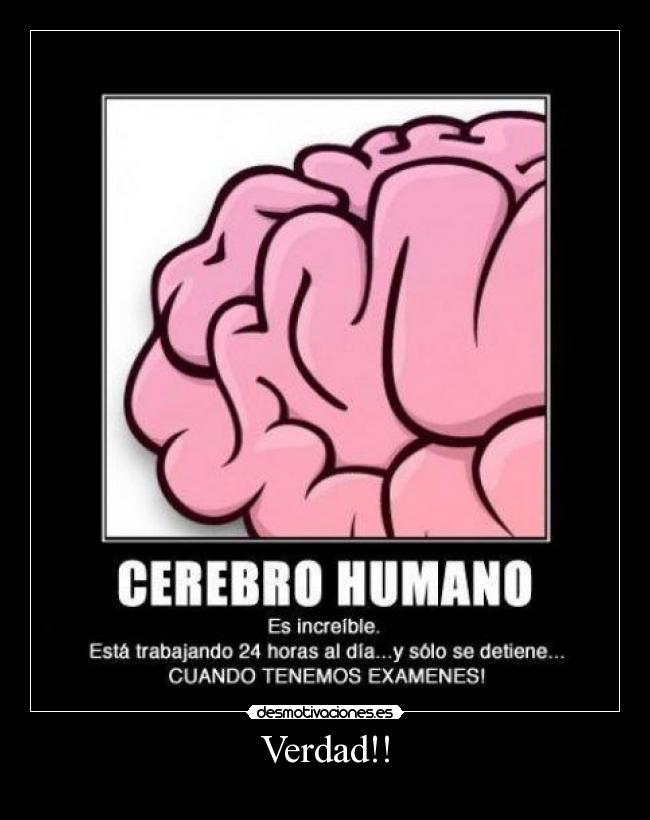 Verdad!! - 
