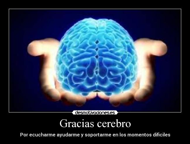 Gracias cerebro - 