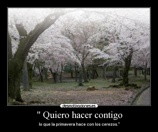 Quiero hacer contigo -