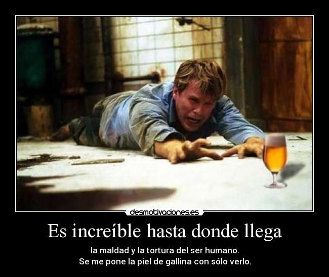 carteles forrest gump desmotivaciones