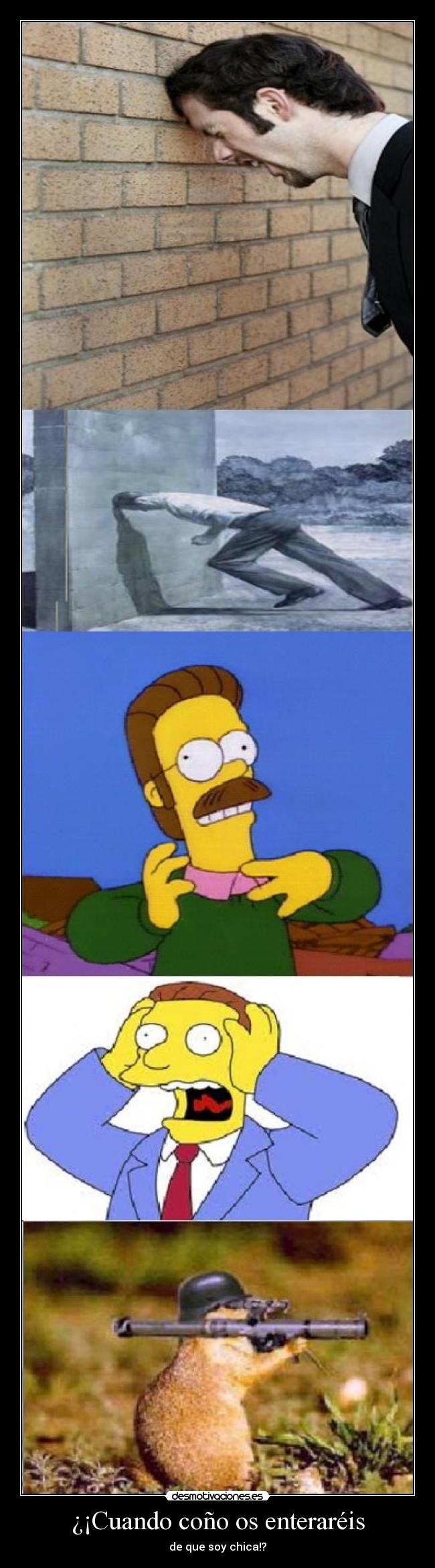 carteles sorry for party rocking hasta los ovarios imaxi desmotivaciones