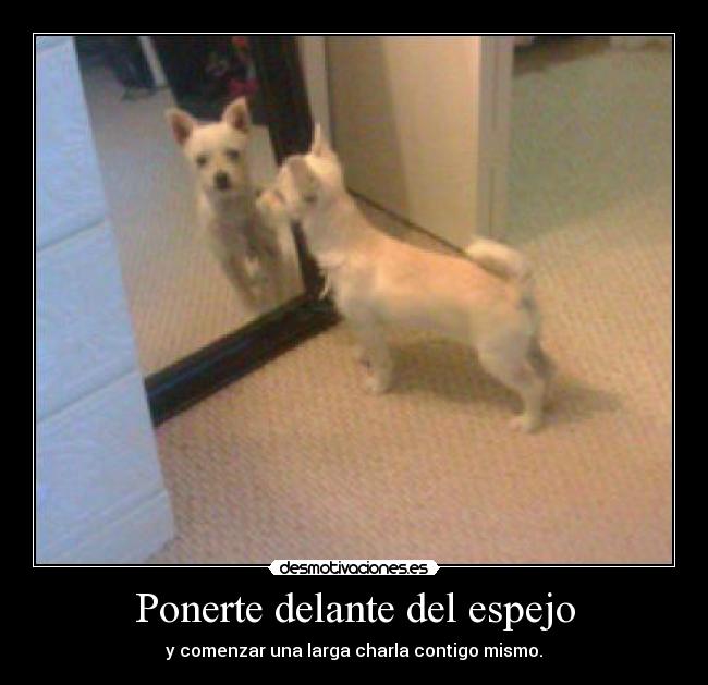 Ponerte delante del espejo - y comenzar una larga charla contigo mismo.