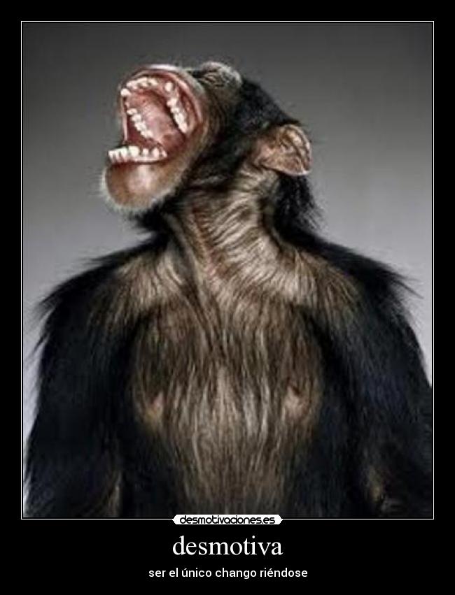 desmotiva - ser el único chango riéndose