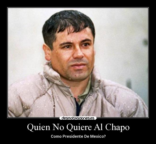 Quien No Quiere Al Chapo -