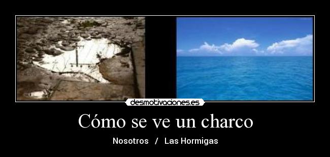 Cómo se ve un charco - Nosotros / Las Hormigas