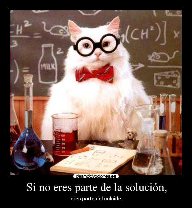 carteles slipkdemon intruders chiste quimico chemistry cat propio desmotivaciones