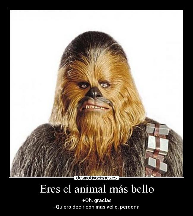 Eres el animal más bello - +Oh, gracias
-Quiero decir con mas vello, perdona
