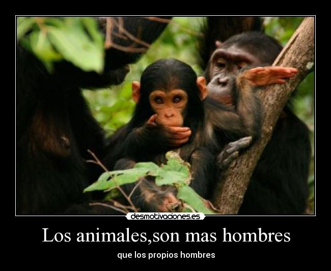 Los animales,son mas hombres - que los propios hombres