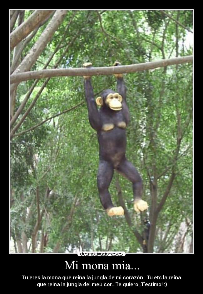 carteles mona abril testimo forever desmotivaciones