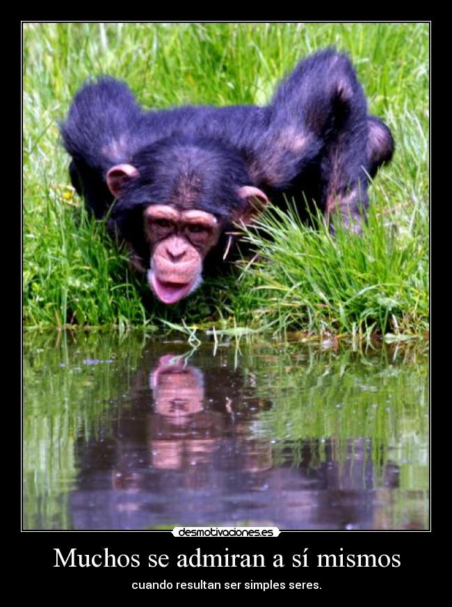 carteles algo asi como ego inutil clanclon desmotivaciones