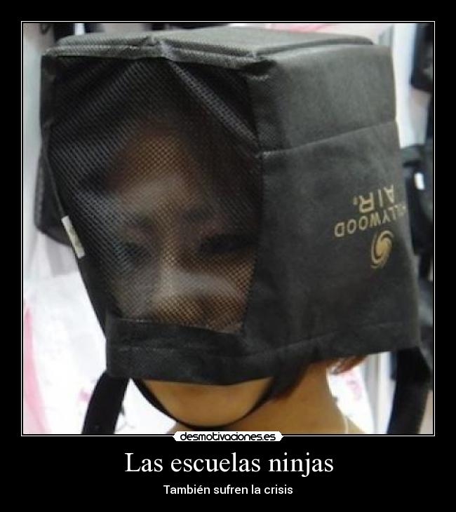 Las escuelas ninjas - 