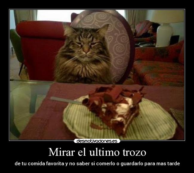 carteles jajaja realidad desmotivaciones