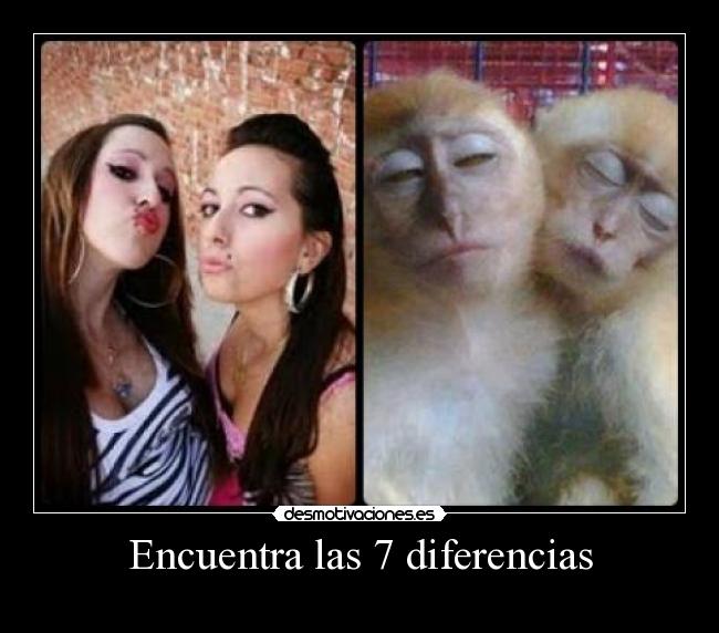 Encuentra las 7 diferencias - 