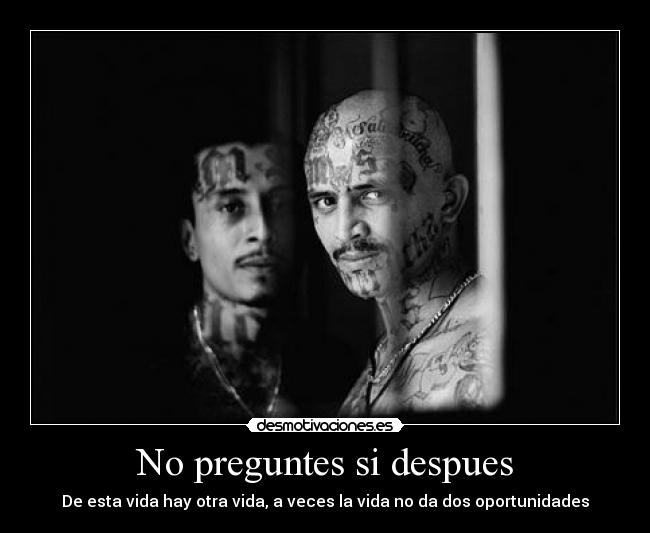 carteles desmo desmotivaciones