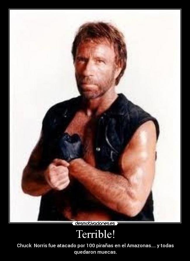 Terrible! - Chuck  Norris fue atacado por 100 pirañas en el Amazonas.... y todas
quedaron muecas.