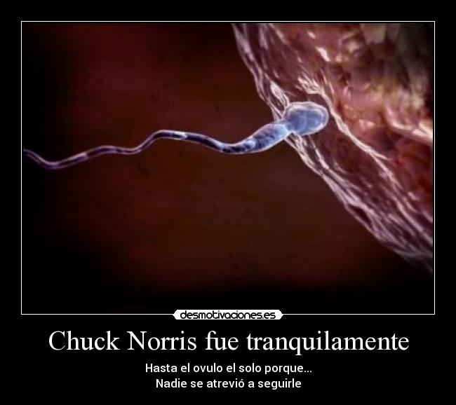 Chuck Norris fue tranquilamente - Hasta el ovulo el solo porque...
Nadie se atrevió a seguirle