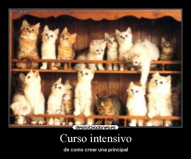 Curso intensivo - 