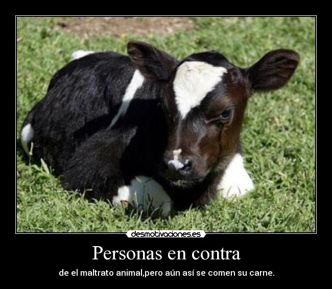 carteles ellos tienen derecho vivir desmotivaciones