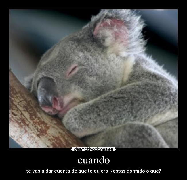 carteles cuando desmotivaciones