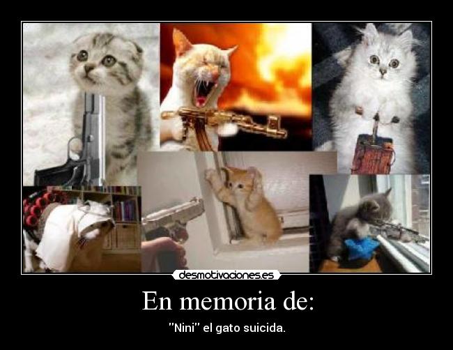 En memoria de: - Nini el gato suicida.