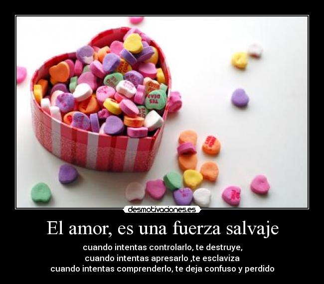 El amor, es una fuerza salvaje -