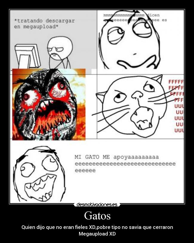 Gatos -
