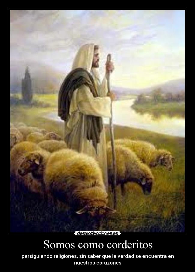 Somos como corderitos - persiguiendo religiones, sin saber que la verdad se encuentra en nuestros corazones